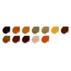 Lac protector extra 2,5L, diferite culori (IG5201F-C2-5L)