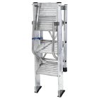 Scara Flavia 4 trepte cu balustrada (S-A16FLA4)